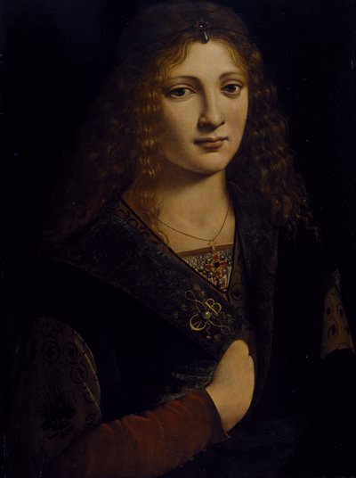 Portrait of a young man, possibly Girolamo Casio, c.1500 (oil on wood panel) بواسطة جيوفاني أنطونيو بولترافيو