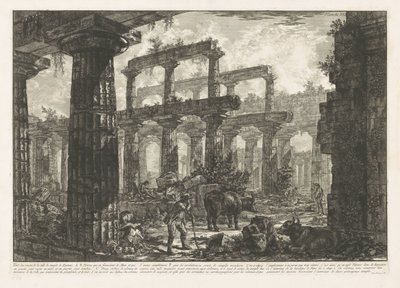 معبد نبتون في بايستوم Vue des restes de la Celle du Temple de Neptune (العنوان على الكائن) مناظر مختلفة لبقايا ثلاثة مبان كبيرة لا تزال قائمة في بايستوم (عنوان السلسلة) Différentes vues de quelques restes de trois gr بواسطة جيوفاني باتيستا بيرانيسي