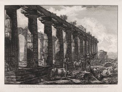 منظر جانبي لمعبد جونو بواسطة Giovanni-Battista Piranesi