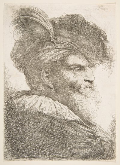 رأس رجل عجوز يواجه اليمين ، من سلسلة الرؤوس الشرقية الكبيرة ، كاليفورنيا. 1645-1650. بواسطة جيوفاني بينيديتو كاستيجليون