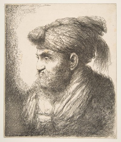 رجل يرتدي عمامة تواجه اليسار ، من سلسلة رؤوس شرقية كبيرة ، كاليفورنيا. 1645-50. بواسطة جيوفاني بينيديتو كاستيجليون