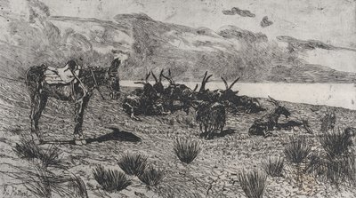 حمار وماعز على شاطئ البحر في الشتاء ، 1884-1908. بواسطة جيوفاني فاتوري