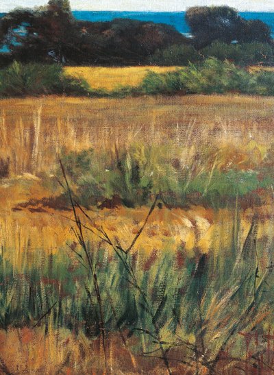 Italy, Florence, Maremma Toscana, circa 1894, detail بواسطة جيوفاني فاتوري