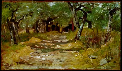 The Path Between Olives Painting by Giovanni Fattori (1825-1908) 1890-1900 Sun. 19x33 cm Florence, Galleria d