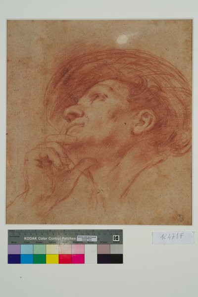 دراسة لرأس النبي حجي (طباشير أحمر على ورق) بواسطة جيوفاني فرانشيسكو باربيري (Il Guercino)