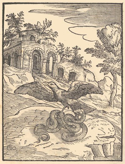 طائر وثعبان ، 1570. بواسطة جيوفاني ماريا فيرديزوتي