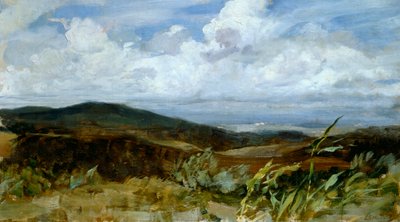 منظر طبيعي لجيوفاني موزيولي (1854-1894) ، زيت على قماش ، 39x68 سم بواسطة جيوفاني موزيولي