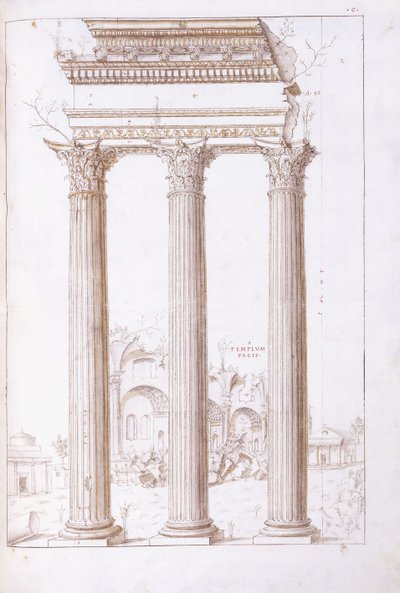 أعمدة معبد كاستور وبولوكس ، مع معبد السلام في الخلفية ، حوالي 1550 (رسم أصلي بالطباشير الأسود والقلم والحبر البني) بواسطة جوليو (دائرة) رومانو
