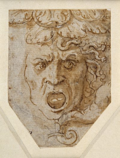 Head of Medusa (pen & brown ink over preliminaries in black chalk with touches of white heightening on white paper) بواسطة جوليو رومانو