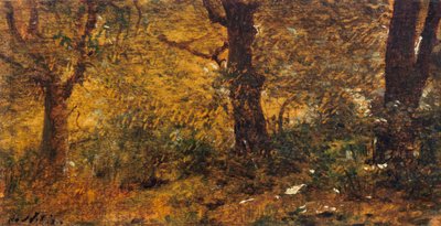 Study of wood بواسطة جوزيبي أو جوزيف دي نيتيس
