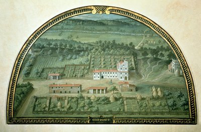 كولي سالفتي ، من سلسلة من هلالية تصور مناظر لفلل ميديشي ، 1599 (درجة الحرارة على اللوحة) بواسطة جيوستو يوتنس