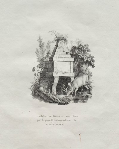 مجموعة الاختبارات الحجرية: نافورة تقليد نقش الخشب ، ج. 1816. بواسطة Gottfried أو Godefroy Engelmann