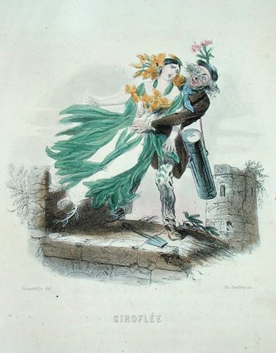 المعالج بالأعشاب يسرق زهرة الجدار ، من "Les Fleurs Animees" ، نقش تشارلز جيفروي (1819-1882) بواسطة جراندفيل