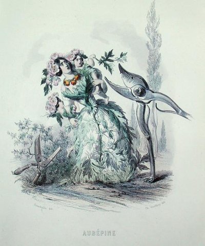 الزعرور ، من "Les Fleurs Animees" ، نقش بواسطة Charles Geoffroy (1819-1882) بواسطة جراندفيل