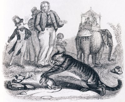 الجرذ والفيل (le rat et l'elephant) - أساطير لافونتين بواسطة جراندفيل
