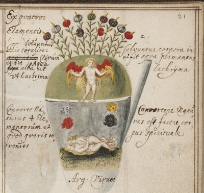 دفتر Alchemical ، ج. 1620 بواسطة جراسشوف