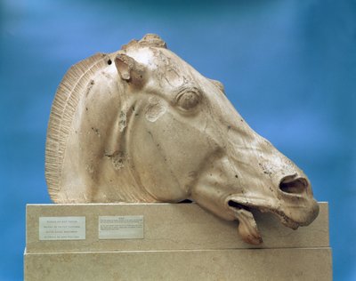 رأس أحد خيول سيلين ، إلهة القمر ، من الرواق الشرقي للبارثينون ، 447-432 قبل الميلاد (رخام) بواسطة اليونانية