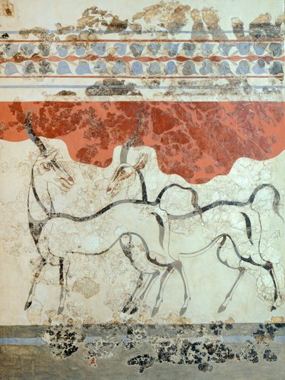 الظباء ، أكروتيري في الهواء الطلق ، ثيرا (اليوم سانتوريني) ، اليونان ، حضارة مينوان بواسطة المدرسة اليونانية