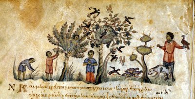 الصيد بالصقور لالتقاط الطيور - في "De Venatione" لأوبيانوس ، مخطوطة يونانية من القرن الثالث عشر. مكتبة مارسيانا. مدينة البندقية بواسطة المدرسة اليونانية