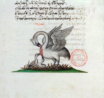 السيدة 3401 ثقب البجع ثدييها لإطعام صغارها ، من Bestiary بقلم مانويل فيليس ، 1566 بواسطة المدرسة اليونانية