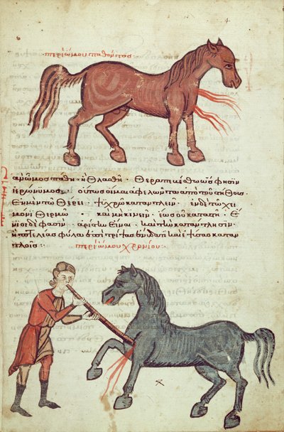 Ms Grec 2244 fol.4 العمل على الحصان بواسطة المدرسة اليونانية