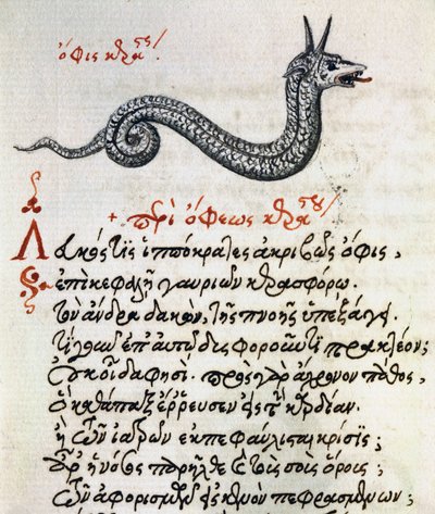 Treatise on Basilisk, test and miniature from De animalium natura et proprietate libellus, by Aelianus (2nd-3rd century AD) بواسطة المدرسة اليونانية