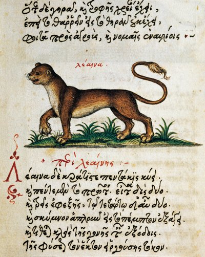 Treatise on Lion, test and miniature from De animalium natura et proprietate libellus, by Aelianus (2nd-3rd century AD) بواسطة المدرسة اليونانية
