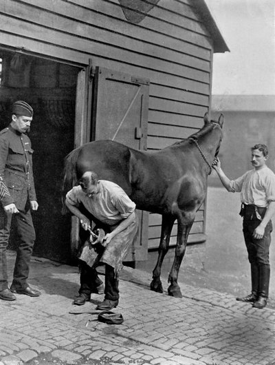 The Farrier-Major of Royal Horse Guard ، 1896. بواسطة غريغوري وشركاه
