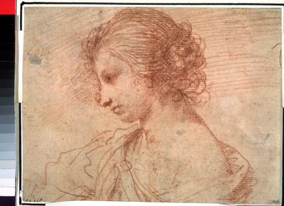 صورة لفتاة شابة (صورة صدر لأنثى شابة) بواسطة جويرسينو (1591-1666)