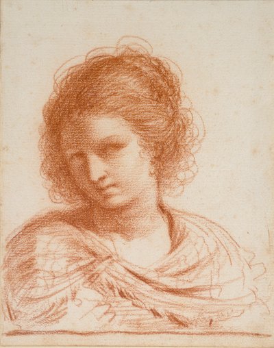 رأس امرأة شابة ، 1550-1666 بواسطة جويرسينو