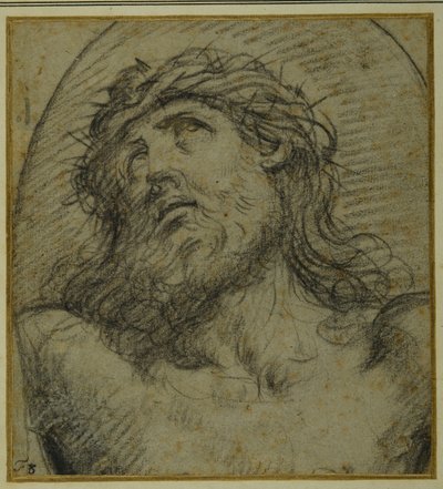 Head and shoulders of the living Christ crucified (black chalk on carta azzurra) بواسطة جويدو ريني