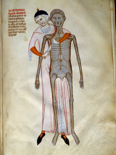 الجراحة: تشريح الصدر. المنمنمة في "" شخصيات ليبرالية فيليبي سابع ملك الفرنجة ، مستخرجة من كتب جاليان "التي كتبها غوي (غي) من بافيا بواسطة جويدو دا فيجيفانو دا بافيا