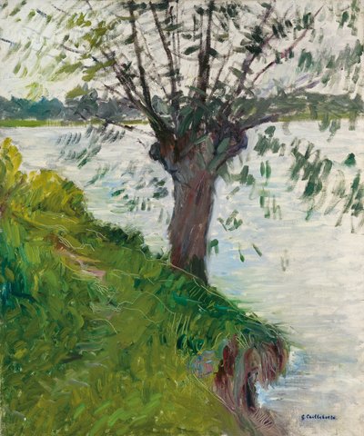 الصفصاف على ضفاف النهر ؛ Saule au bord de la riviere، c. 1891 بواسطة غوستاف كايليبوت