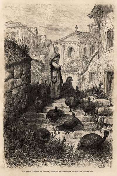 حارس ديك رومي ، في شوارع قرية في ريف سالامانكا. رسم لجوستاف دوري (1832-1883). نقش لتوضيح الرحلة في إسبانيا ، بقلم تشارلز ديفيلير ، في عام 1862 ، نُشر في "" Le Tour du monde "" "1872 ، حرره إدوارد تشارت بواسطة غوستاف دور