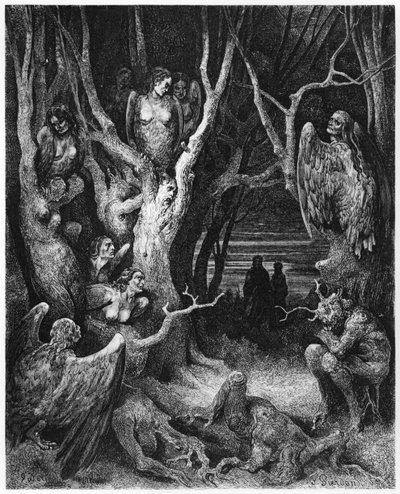 Harpies ، رسم توضيحي من "الكوميديا الإلهية" (جحيم) لدانتي أليغييري (1265-1321) باريس ، نُشر عام 1885 بواسطة غوستاف دور