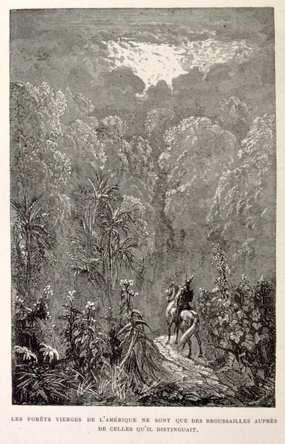 رسم توضيحي لغابة أمريكية. من أسطورة كروك ميتان. بواسطة غوستاف دور