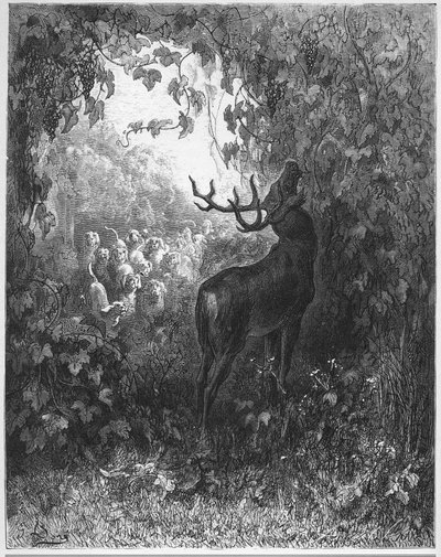 LE CERF ET LA VIGNE - The deer and the vine - من "Fables" للمخرج Jean de La Fontaine بواسطة غوستاف دور