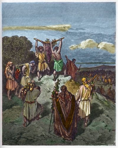 العودة من أرض كنعان - عودة جوزويه وكالب مع مجموعة كبيرة من العنب من أرض كنعان (أرض الموعد) - نقش في "إنجيل إنستاريز" لغوستاف دوري (1832-1883) - نقش من "" الكتاب المقدس دوري "" بواسطة غوستاف دور