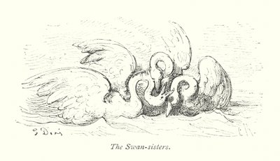 الأختان البجعة (نقش) بواسطة غوستاف دور