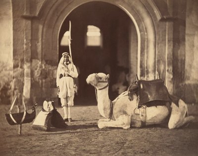 جمل مستلقيا ، 1866 (حفر ضوئي) بواسطة غوستاف ليجراي