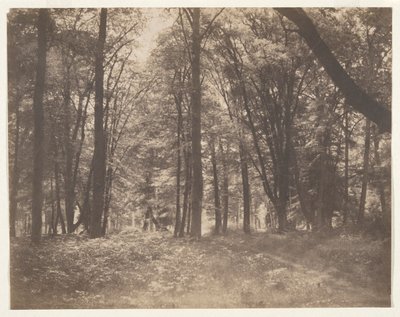 La for؟ t de Fontainebleau (The Forest at Fontainebleau) بواسطة غوستاف ليجراي