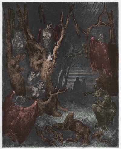 جحيم ، كانتو 13: The Harpies في غابة الانتحار ، توضيح من الكوميديا الإلهية بواسطة دانتي أليغييري ، 1885 (نقش ملون رقميًا) بواسطة غوستاف بعد دوري