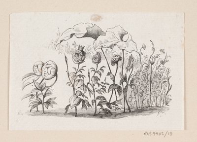 رسم توضيحي لـ "Den lille Idas Blomster" في HC Andersen ، "Fairy Tales and Stories" ، المجلد 1 بواسطة إدوارد كريتزشمار