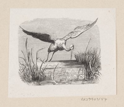 رسم توضيحي لـ "Storks" في HC Andersen ، "Eventyr og Histoire" ، المجلد 1 بواسطة إدوارد كريتزشمار