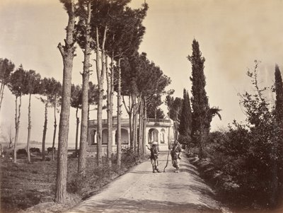 أفغان في حدائق بابور ، جلال آباد ، 1878 بواسطة H. Charuis