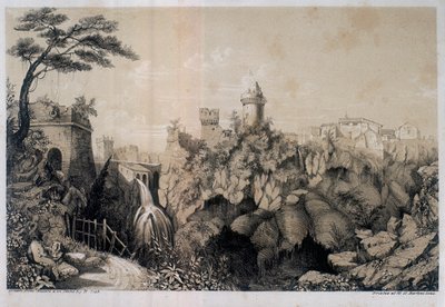 نقش بواسطة H. R. Cook
