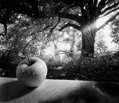 لنسمعها من أجل المعرفة بواسطة حاج حاج