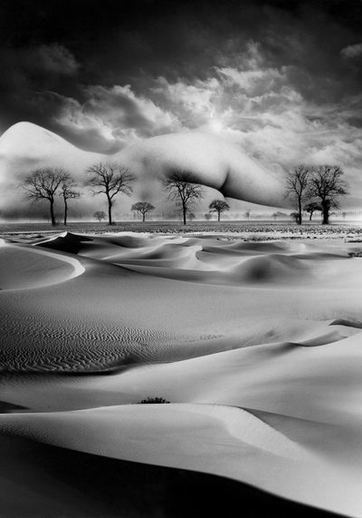 الأم بواسطة حاج حاج