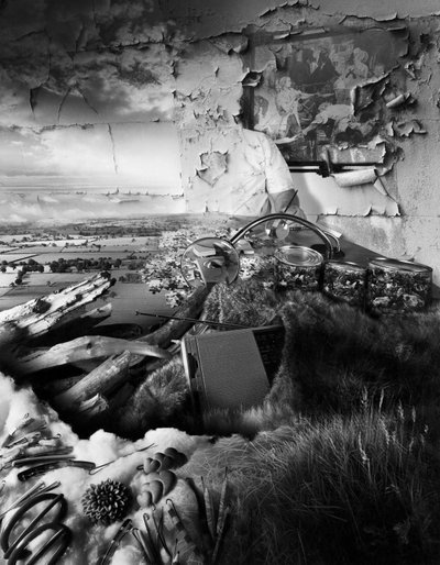 غباء الإنسان بواسطة حاج حاج