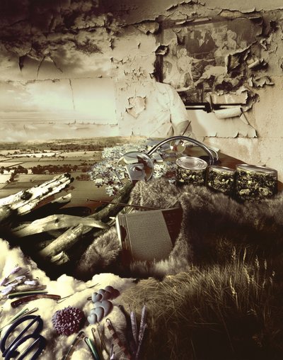 غباء الإنسان بواسطة حاج حاج